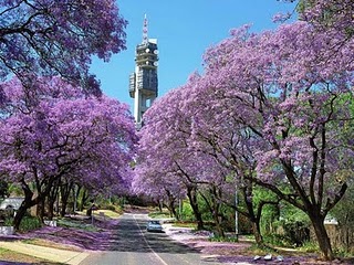 Cidade de Pretria - frica do Sul