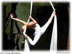 Artista realizando uma modalidade aérea circense, também denominada tecido acrobático, tecido aéreo ou tecido circense. <br> <br> Palavras-chave: ginástica, arte circense, acrobacia aérea, tecido acrobático.