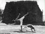 De acordo com a Diretriz Curricular de Educao Fsica, a capoeira poder ser relacionada ao Contedo Estruturante lutas, e contedo bsico capoeira. A capoeira  uma prtica corporal da cultura afro-brasileira, cujos elementos so importantes para entender a histria do Brasil.  <br> <br> Palavras-chave: capoeira, luta, cultura afro-brasileira.