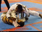 Imagem da Etapa 3 da FJJD-Rio (Federao de Jiu-Jitsu Desportivo do Rio de Janeiro). <br> <br> Palavras-chave: lutas, jiu-jitsu.