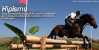 Esportes Olmpicos de Vero - Hipismo