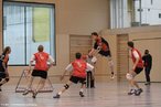 Imagem de um jogo de tchoukball. <br><br> Palavras-chave: esporte, tchoukball, quadro de remisso.